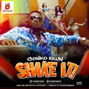 Chinko Ekun - Shake It